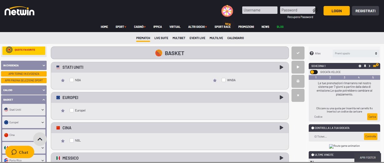 Netwin Basket Ita